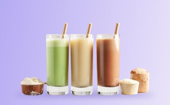Will Protein Shakes Help Me Gain Weight Without Working Out will-protein-shakes-help-me-gain-weight-without-working-out
